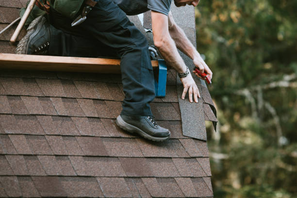 Gutter Installation and Roofing in Marietta Alderwood, WA